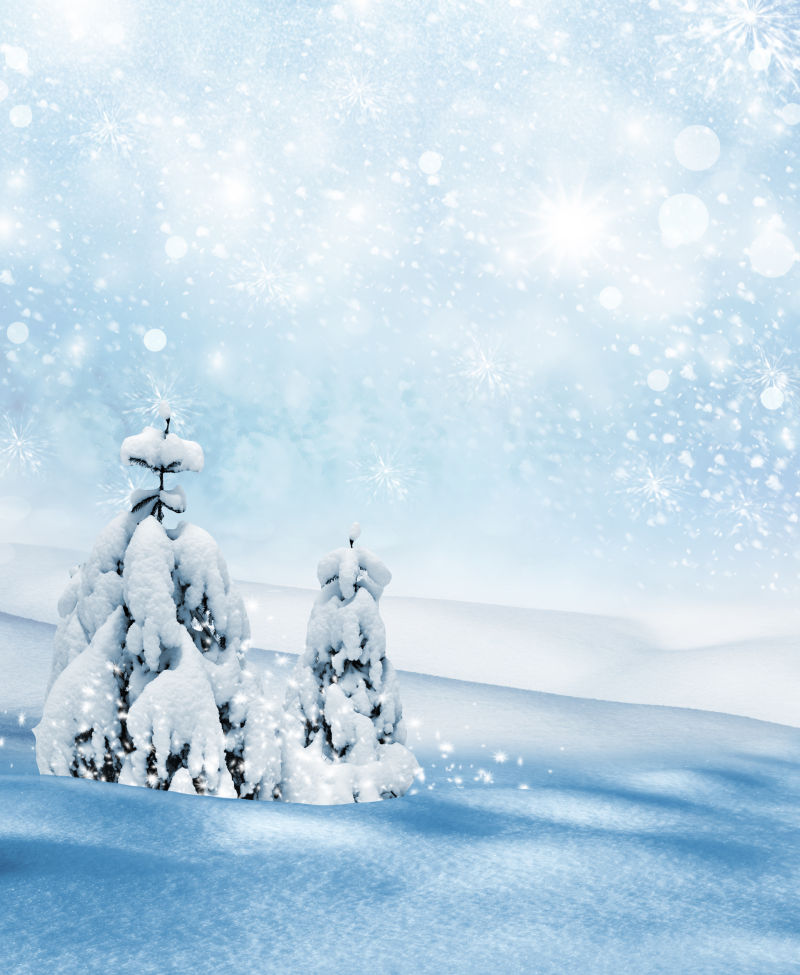 梦幻雪景上两棵落满雪的树