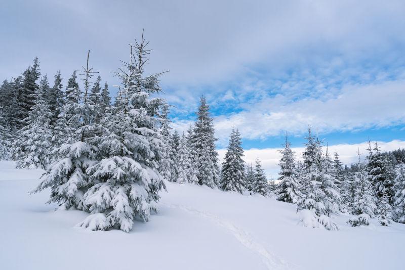 山林中的冬季景观