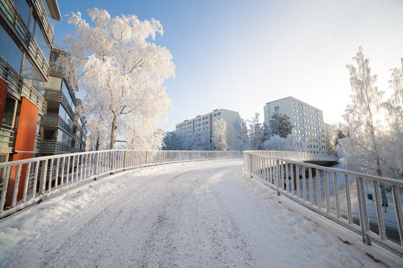 冬雪覆盖的道路景色