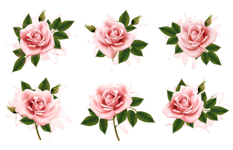 矢量粉红色玫瑰贺卡设计元素