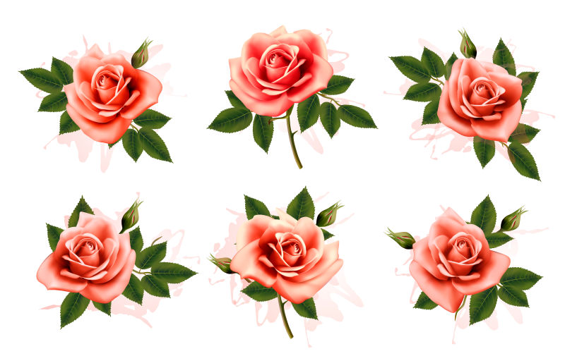 创意矢量美丽的粉红玫瑰
