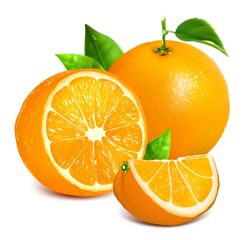 新鲜成熟柑橘矢量插图