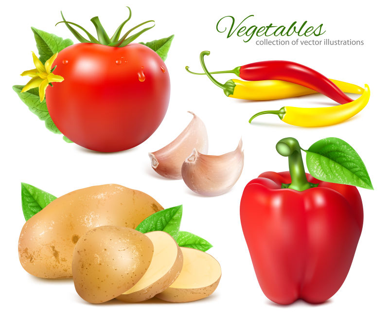 成熟的新鲜蔬菜矢量插图