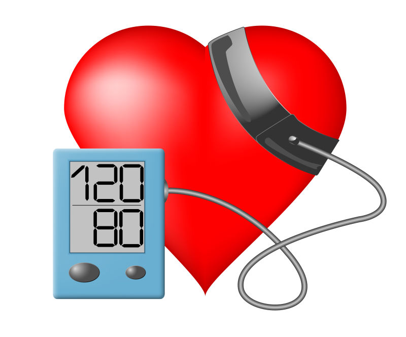 白色背景下的心脏血压监测器矢量图