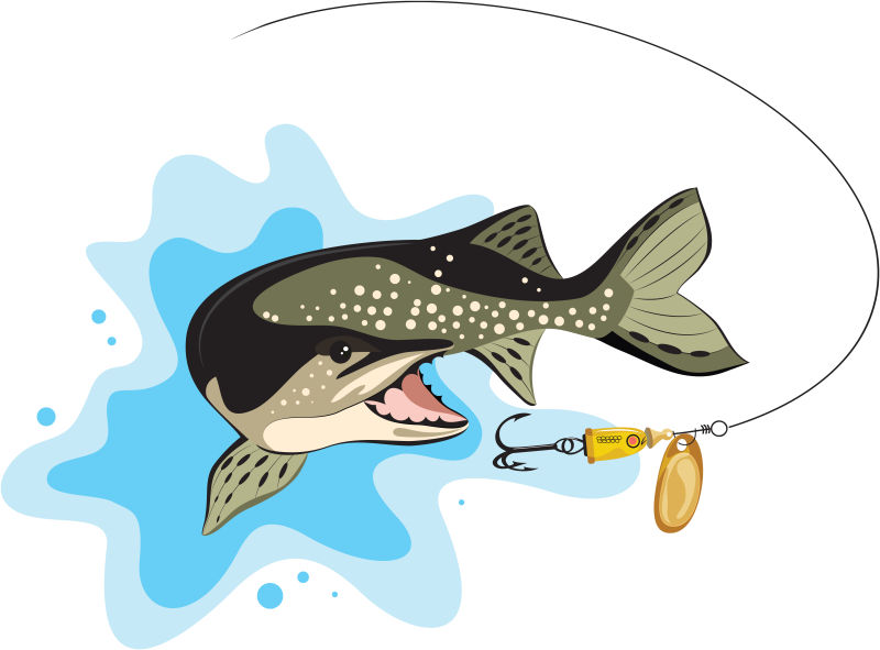 鱼饵和梭鱼矢量插图