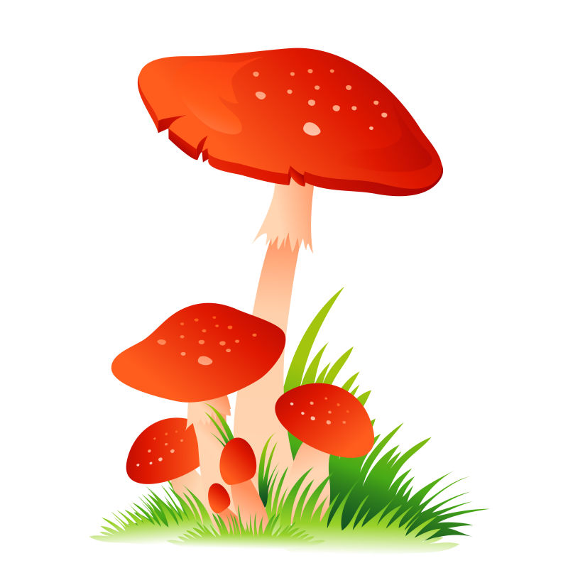 矢量的卡通红蘑菇