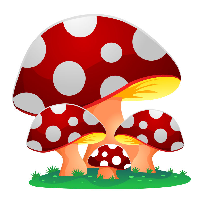 卡通蘑菇丛矢量插图