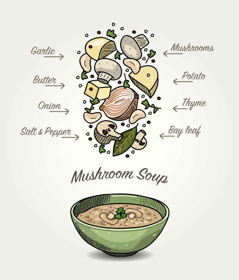 矢量的手绘风格蘑菇汤插图