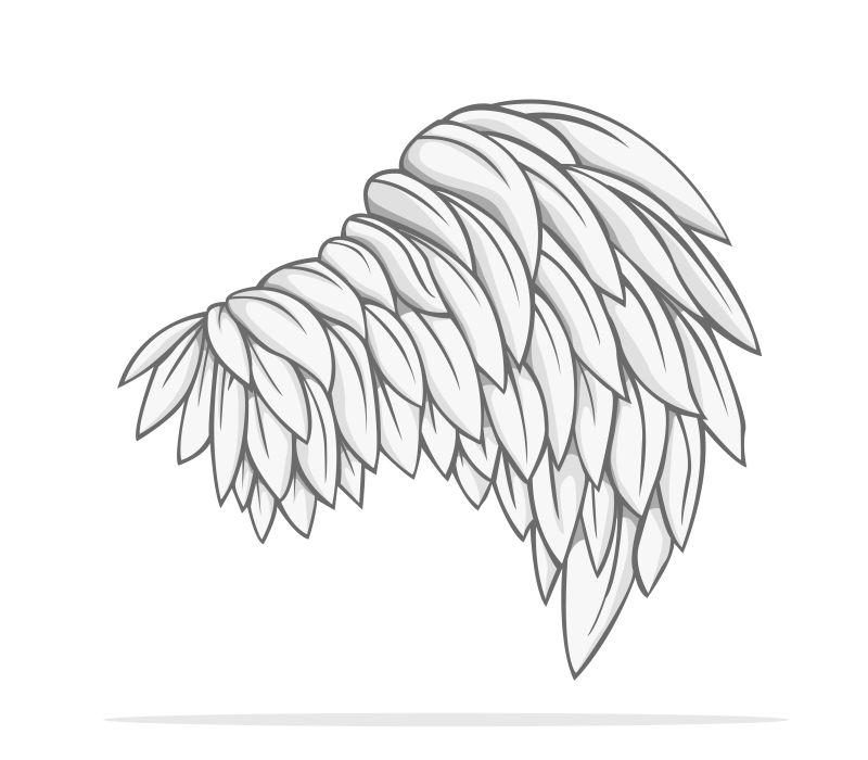 手绘风格的白色翅膀矢量