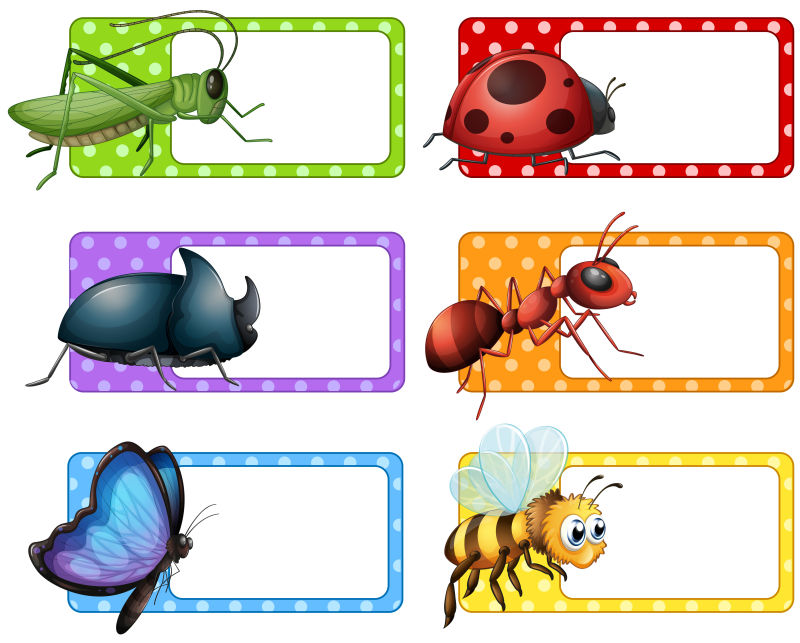 创意矢量昆虫标签设计