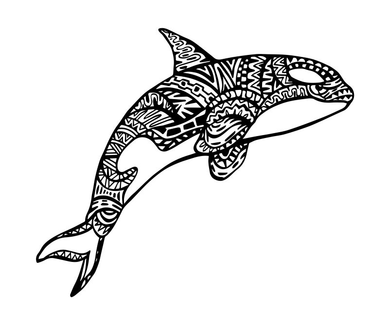 矢量虎鲸传统图腾涂鸦设计