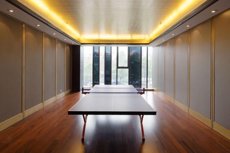 乒乓球室内部三维立体效果