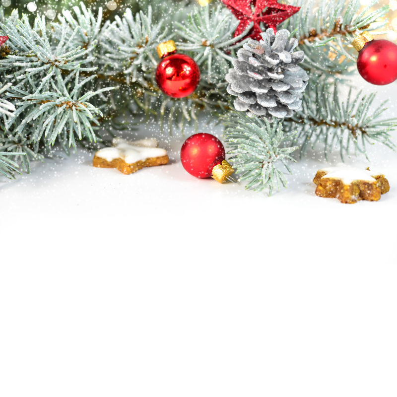 白色的地面上的树枝装饰着美丽的圣诞饰品