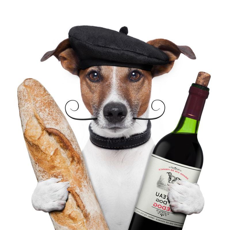 捧着面包和酒的狗狗