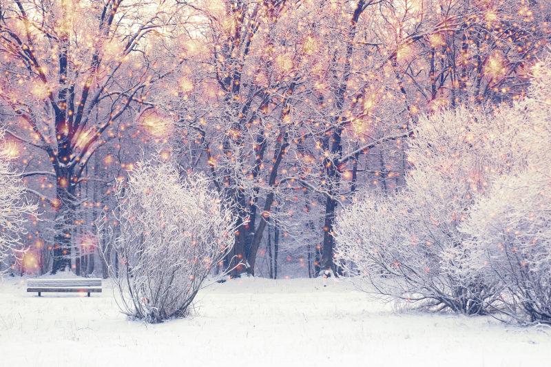 公园雪景背景下明亮的圣诞雪花
