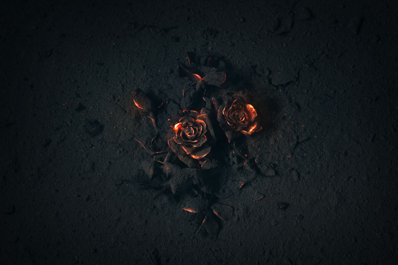 一朵被灰烬掩埋的玫瑰