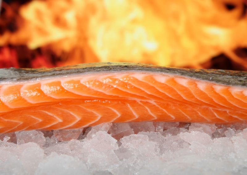 新鲜的鱼肉与火焰