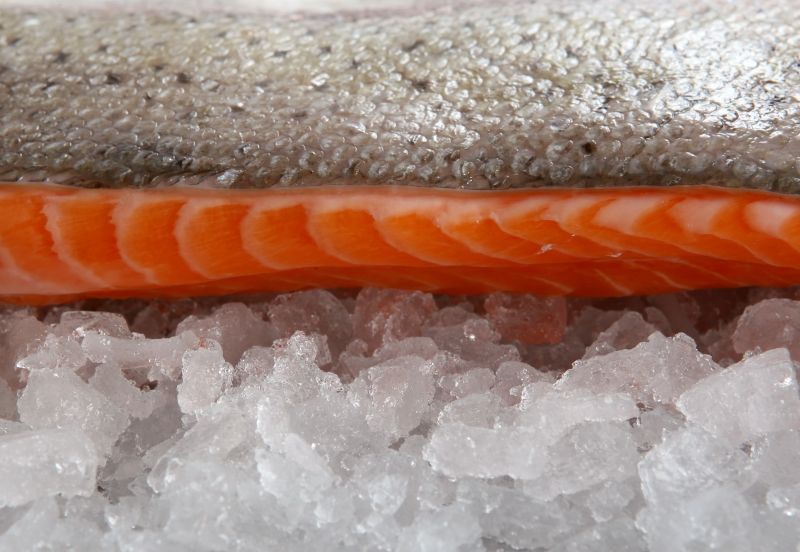 漂亮的鱼肉在冰上