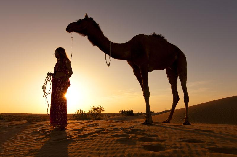 夕阳剪影的女人与骆驼