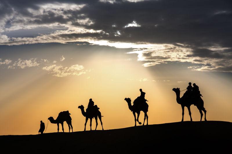 沙漠中的骆驼穿越沙漠