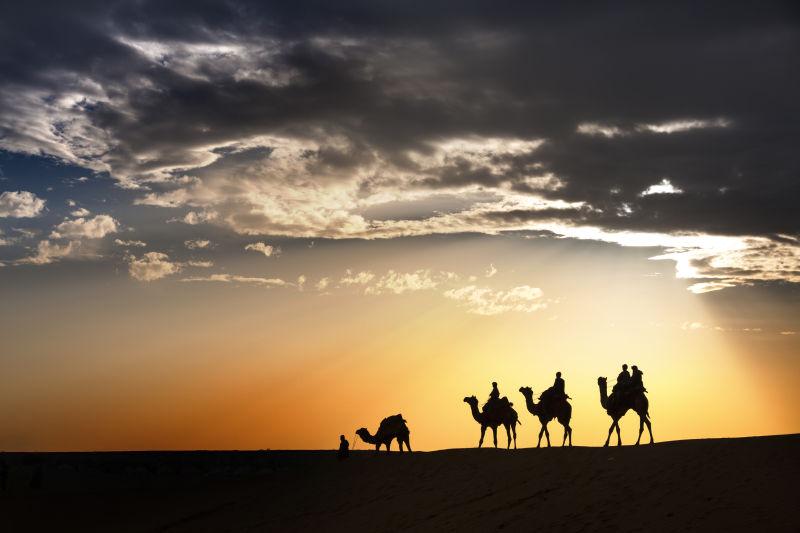 沙漠中骆驼穿越沙漠