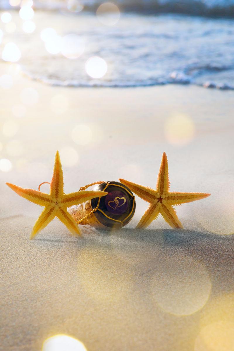 美丽的沙滩上的一对海星