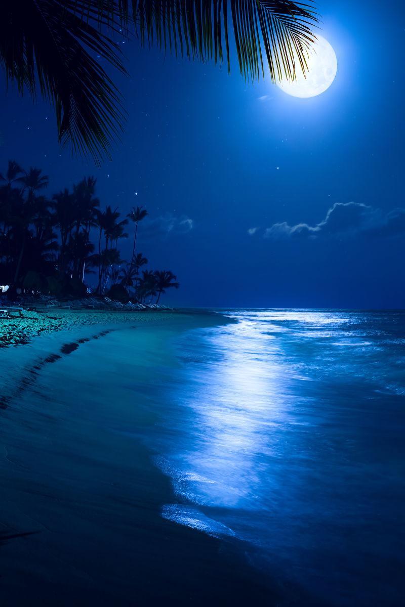 美丽的沙滩上的月光