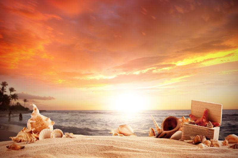 夕阳下沙滩上的贝壳和海星