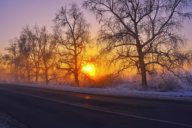 冬天日出时分美丽的树上覆盖着霜冻