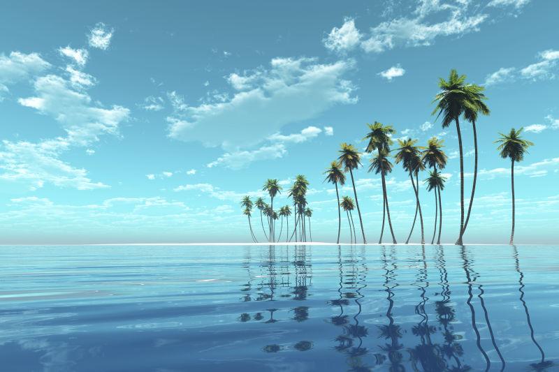 大海与椰子树