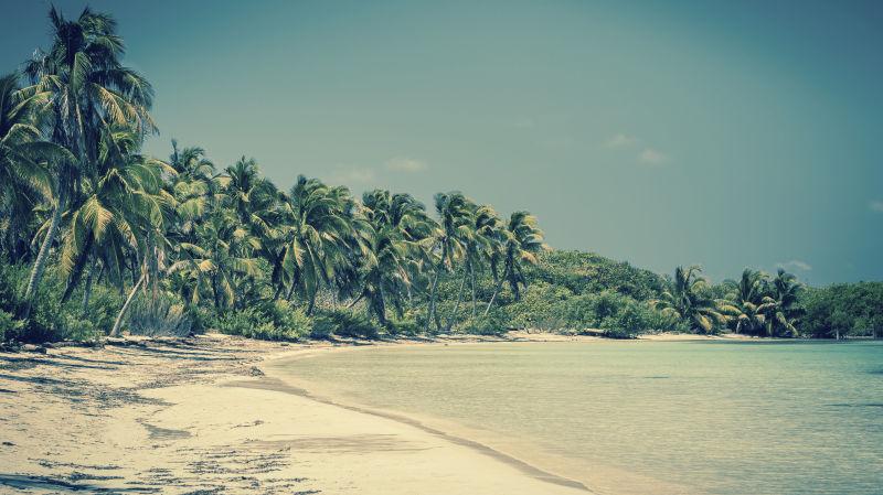 海滩与椰子树