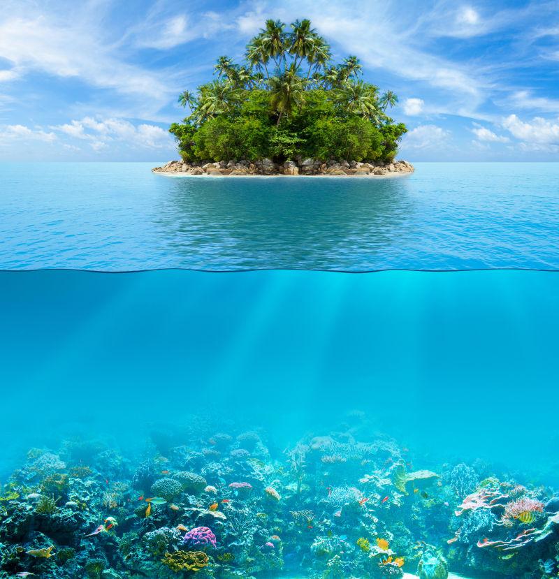 热带岛屿下的水下珊瑚礁海床和水面