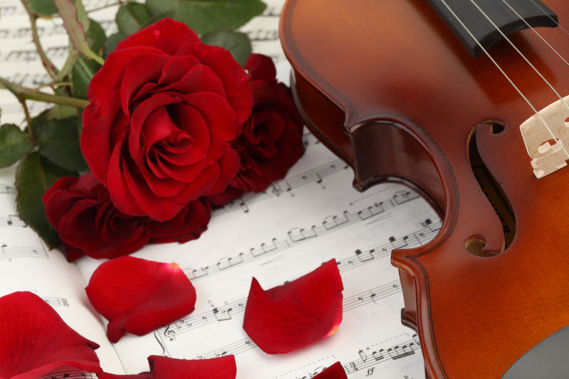 五线乐谱上的红玫瑰和小提琴 