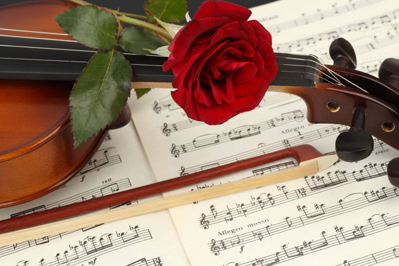 红玫瑰和小提琴在乐谱上的特写