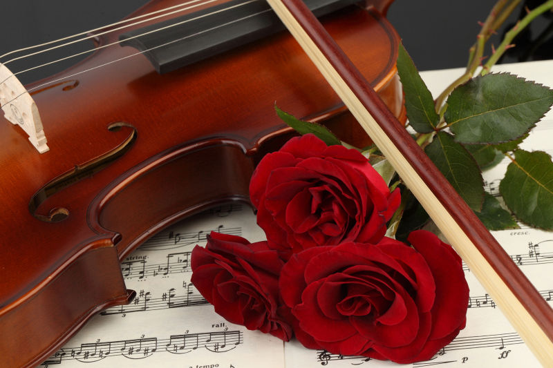 小提琴红玫瑰和乐谱