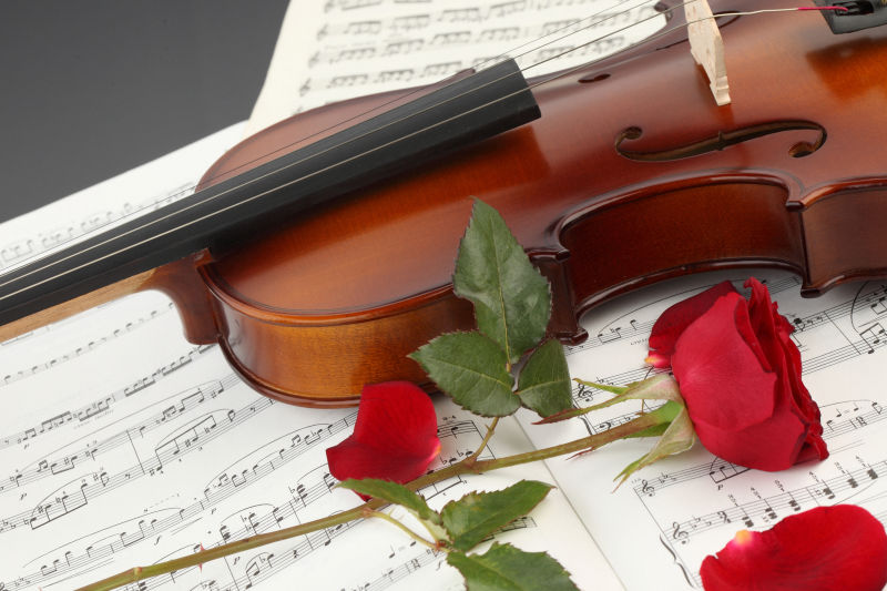 红玫瑰和乐谱上的小提琴