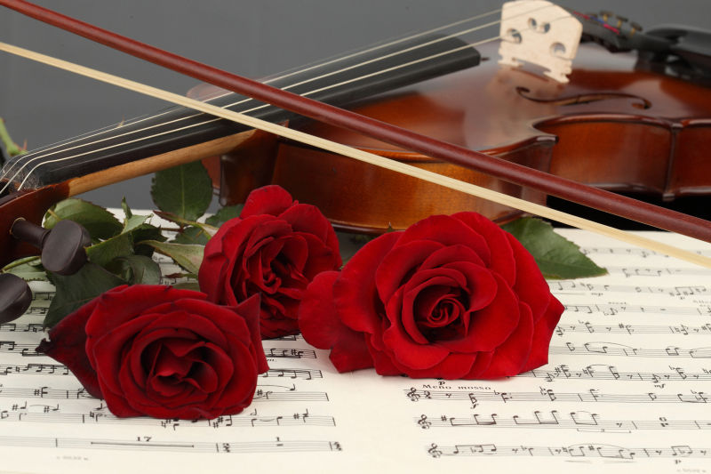 乐谱上的红色玫瑰和小提琴