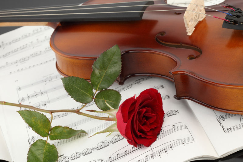 乐谱上美丽的玫瑰和小提琴