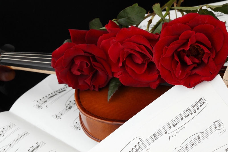 红玫瑰小提琴与乐谱特写