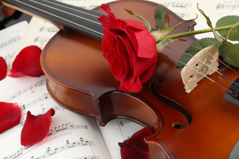 红玫瑰乐谱和桌子上的小提琴