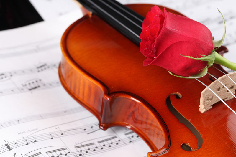 乐谱上的小提琴和红玫瑰