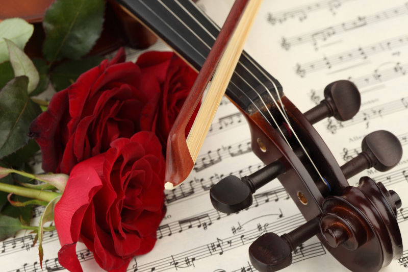 小提琴琴头特写和玫瑰乐谱