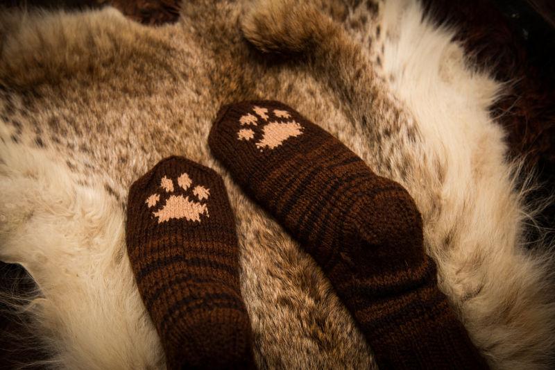 毛皮背景下的棕色猫爪针织毛袜
