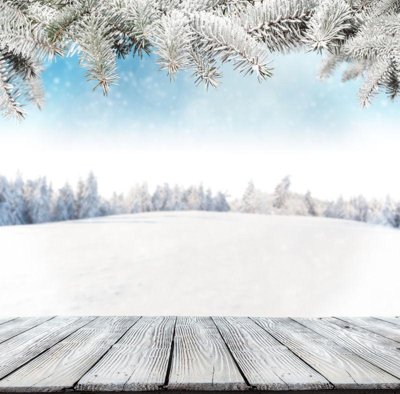 冬雪背景木板与云杉树