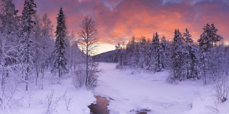 冰冷的河流与美丽的森林雪景