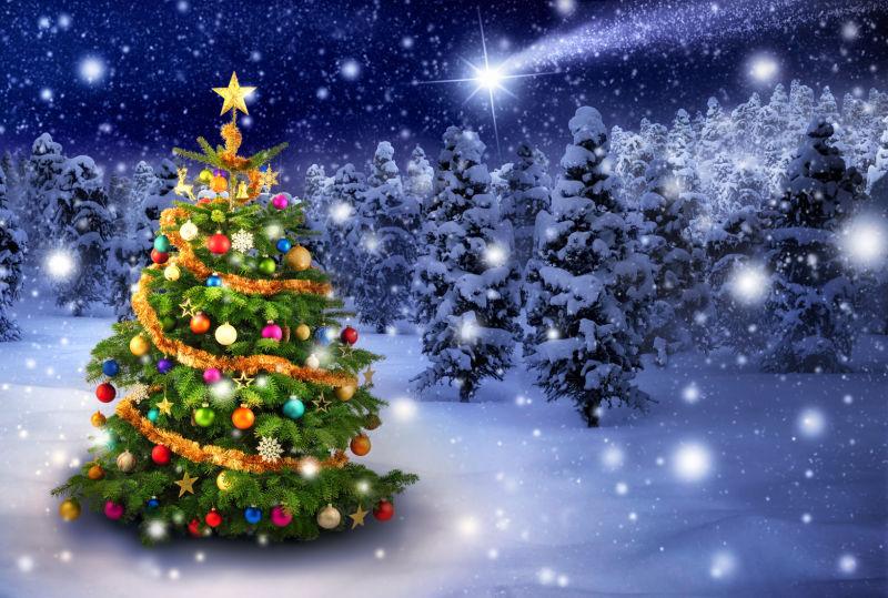 绚丽多彩的圣诞树在冬季背景中