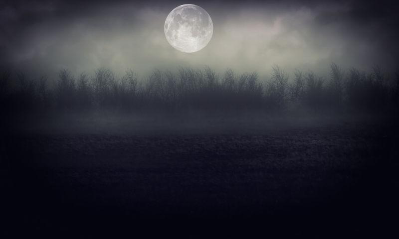 黑暗森上空的月亮