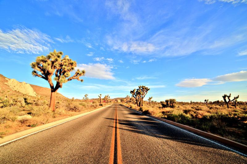 蓝天白云下黄色沙漠里的公路