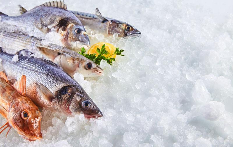 白色碎冰上的新鲜生鱼海鲜产品