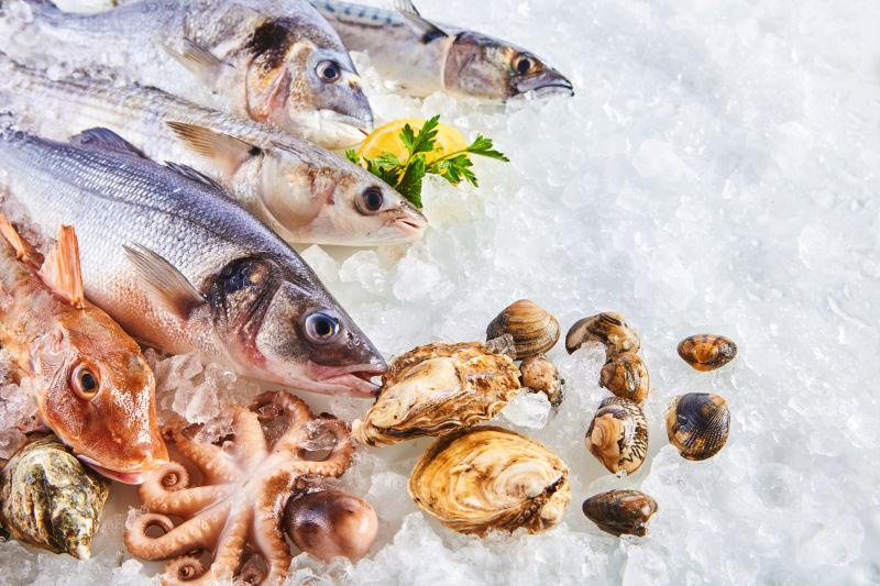 白色碎冰上的新鲜生鱼贝类和白海味等海鲜产品